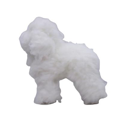 China Viable Pet Groomer Training Pet Shop Display Props Toys Dog Mannequin Grooming Tool Dog Hair Pet Model for sale