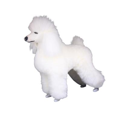 China Viable Practice Poodle Full Body Dog Model Educational Model Dog Display Grooming School Pet Dog Educational Model Dog for sale