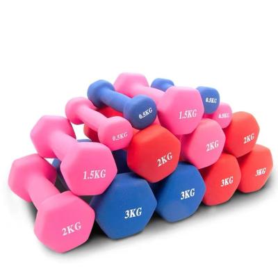 China Eco-friendly Dropshipping Colorful Hammer Strength Books Gym Dumbbells 6kg for sale