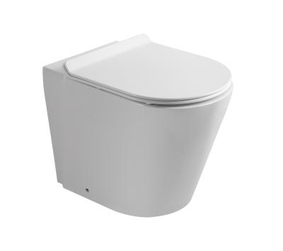 China Automatic Operation New Chinese Style Wall Mounted Toilet Video Toilet Manufacturers Roll for sale