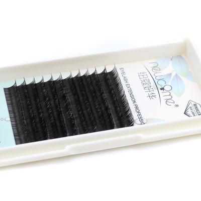 China 0.07mm Long Lashes Private Label Extensions Handmade Eyelash Extensions Natural Premium Eyelash Extension for sale