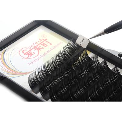 China Soft Like Natural Matte Flat Black Ellipse Flat Lash Cashmere Eyelash Extension Private Label Hair Eyelash Extension for sale