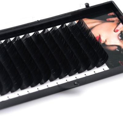 China Softer and lighter than other different Korea private label mink material silk eyelash extension lashes for sale