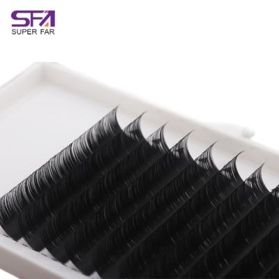 China Soft Like Individual Eyelash Extension Hot Selling Private Label 100% Natural Human Eyelash Real Mink Wholesale Supplier for sale