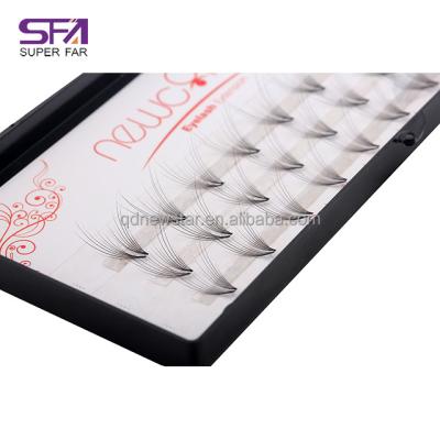 China SILK Fans Pre 3d Eyelash Extension Lashes Private Label Volume Lashes for sale