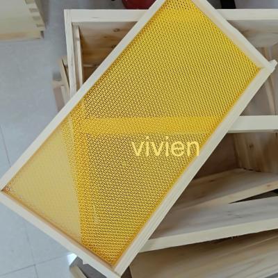 China Bee Farm Ventilated Plastic Base Mesh Open Base View for sale