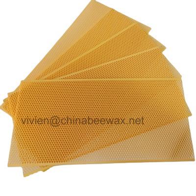 China Bee Farm Hot Sale Best Price Base Plastic Sheet for sale