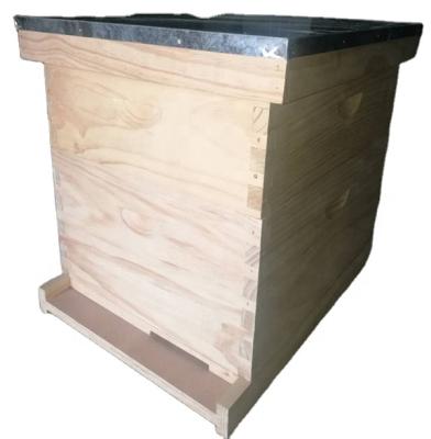 China Langstroth Hot Beehive Equipment Beekeeping Bee Farm Sale Wooden Bee House for Beekeeping for sale