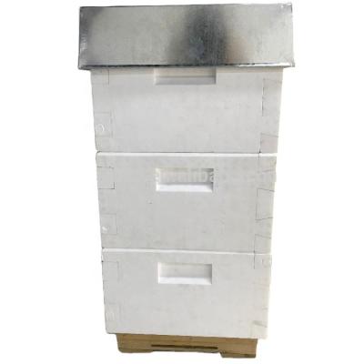 China Bee Farm Beekeeping Styrofoam Boxes Mini Foam Bee Hoops Polystyrene Bee House for sale