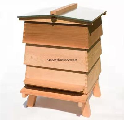 China Cedar Wooden Hive WBC Hive Gable Roof Hive YX-BHC for sale