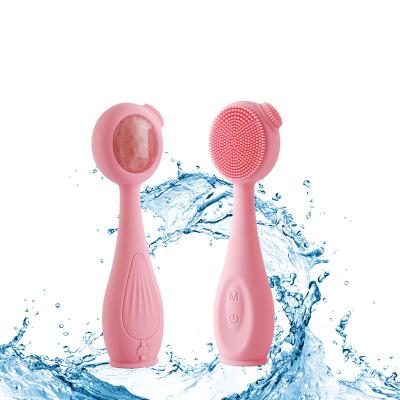 China Dark Facial Equipment Home Beauty Care Home Use Brush Circles Masaager Facial Cleansing Brush for sale