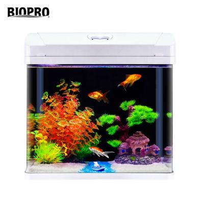 China Factory Sale Sustainable Aquarium Custom Fish Tank For Big Size for sale