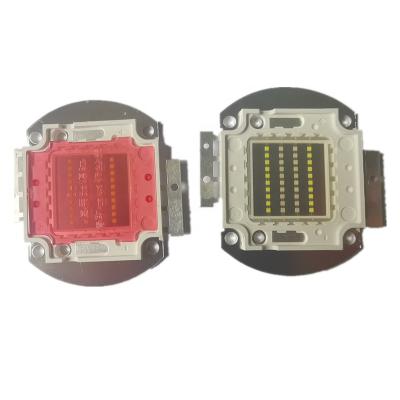 China 12V 24V 30-36V Dual Color GROWING LIGHT blue/white/red cob led 20W 40W 60W for growing light for sale