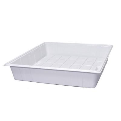 China Eco - Friendly Customized Professional Manufacturing Vacuum Forming White Plastic Pet Trays for sale