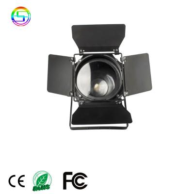 China Cool Warm White Stage 200W China Factory 200W Focus LED Par COB In 1 Led Par Light With Zoom for sale