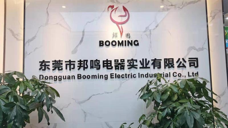 Επαληθευμένος προμηθευτής Κίνας - Dongguan Booming Electric Industrial Co., Ltd.