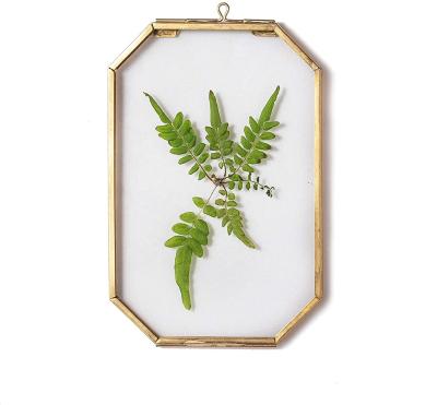 China Morden Frame Gold Octagon Clear Wall Decor DIY Glass Floating Brass Hanging Frame For Display Pressed Plant Specimen Dried Flowers for sale