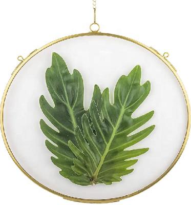 China Morden Herbarium Frame Gold Hanging Brass Round Glass Frame For Double Pressed Dry Glass Flower Frame Display Floating Plants for sale