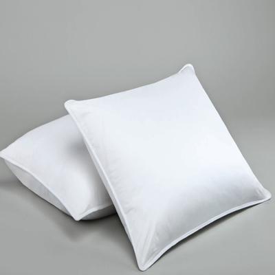 China Anti-Static Pillow Cheap Hot Sale Pillow Best Health China Good Quality Manufacturer for sale