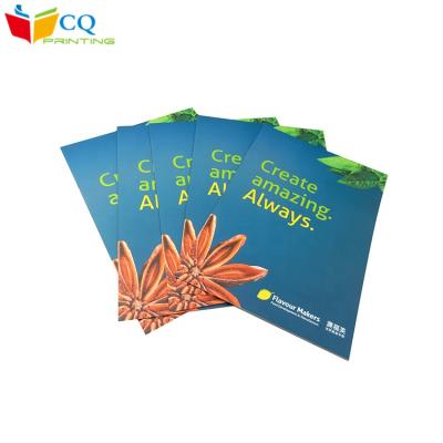 China High quality custom matte a4 advertising brochure lamination art paper presentation folder leaflet matte printing for promotion for sale