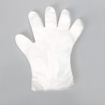 China Wholesale Boxed Portable Cleaning Cross LDPE Cleaning Gloves for sale