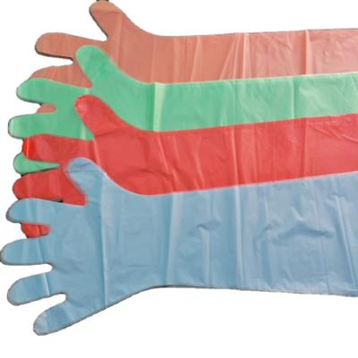 China High Quality Colorful Long Sleeve PE Cleaning Gloves for sale