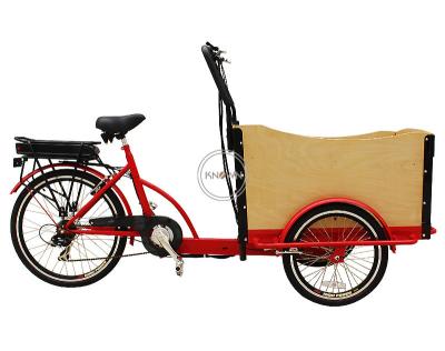 China OEM T05A 3 Wheel Electric Passenger Tricycle 250w Cargo Bike Passenger Scooter Bike Comercial Bicycle Adult for sale