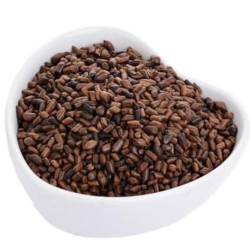 China Wholesale Loose Semen Cassia Tora Seeds Tea Best Price for Cassia Seed Herbal Tea for sale