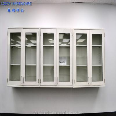 China Physics Lab Or School Room Low Price Chemical Lab Cabinet Wall Mounted Units For Lab Benches for sale