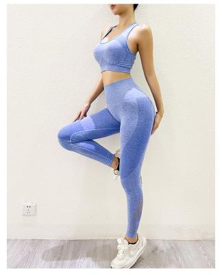 China Best Selling Breathable Sports Yoga Vest Quick Drying Yoga Pants Women's Mesh Yoga Suit for sale