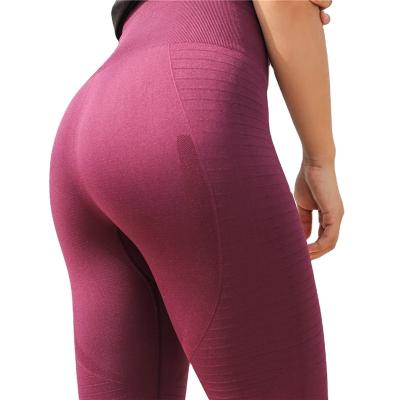 China Breathable Seamless Stretch Yoga Pants Hip Lift Fitness Pants Outdoor Sports High Waist Recreational Running Tight Women For Women Girls for sale