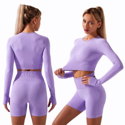 China High Quality Fitness Seamless YOGA SHORTS SET Breathable Sports Clothes Women Long Sleeve Fitness Jacket for sale