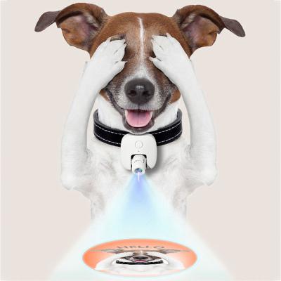 China 2022 Creative Custom Viable Night Lamp Pet Lamp Projector Pet Image Pet Products Social Lamp For Dog for sale