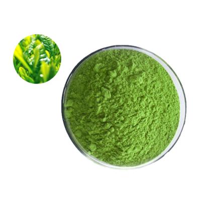 China Tea Drinks High Quality 100% Pure Japanese Matcha Organic Matcha Slim Powder Green Tea Certified Organic for sale