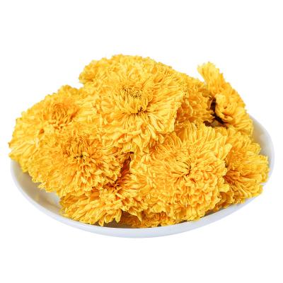 China Organic Gold Chrysanthemum Golden Chrysanthemum Tea Flower Organic Tea for sale