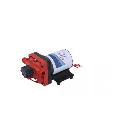 China 12v, 24v, 110v, 220v family homes diaphragm pump for sale