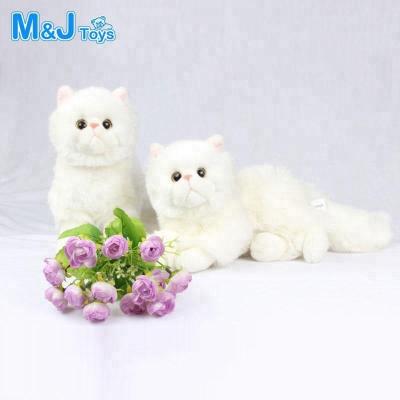 China White Cat Stuffed Animals Plush Toy Persian Cat Soft Plush Toys for sale