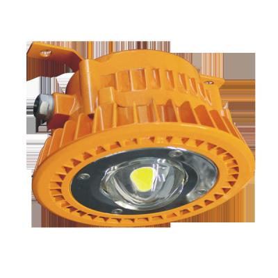 China Oil Refinery Floodlight 30W Outdoor Mounted Explosion Proof Explosion Proof LED Flood Light for sale