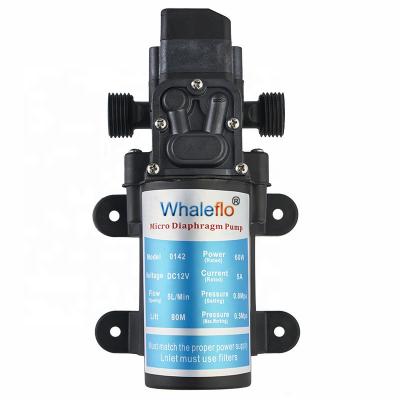 China Automotive Industry Whaleflo 12V 60W 5LPM Self Priming Oil Transfer Pump for sale