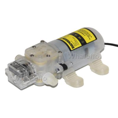 China Food and Beverage Industry Whaleflo DC 24V Food Grade Wine 3.8L Self Priming Transfer Pump for sale