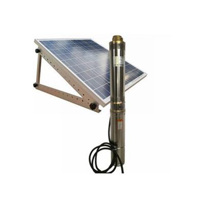 China Home Whaleflo 300W 24V DC Screw Submersible Brushless Hot Selling Deep Well Solar Pump for sale