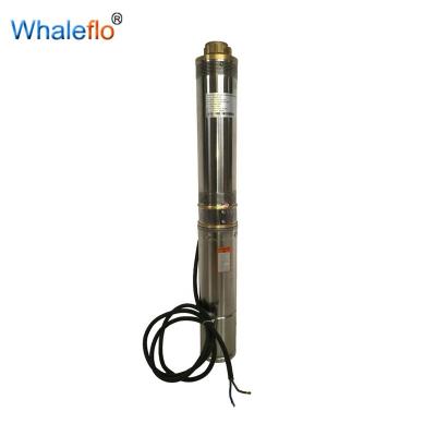 China Poultry Farming Whaleflo 4inch Large Flow 4T/H Brushless Screw Solar Pumps Head 70M For Agriculture Deep Well Irrigation for sale