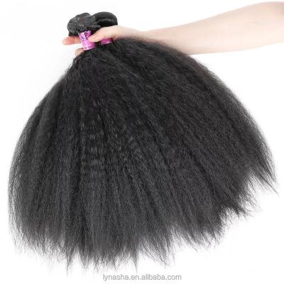 China Brazilian Curly Mink Hair Factory Price Curly Curl Afro Curly Hair Volume For Braiding for sale