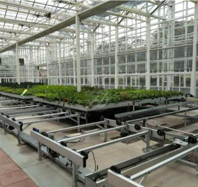 China For Seeding Bed Rolling Benches Grow Table Greenhouse Rolling Bench Ebb And Flow Table for sale