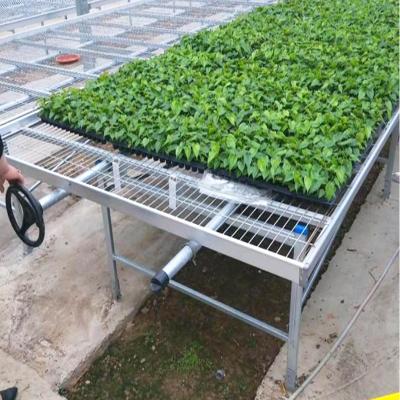 China Screen Customized Hydroponic Ebb And Flow Rolling Bench Manufacturer for sale