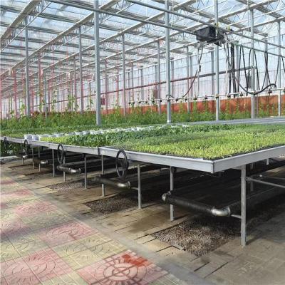 China High Quality Screen Greenhouse Ebb And Flow Table Flood Benches Supplier for sale