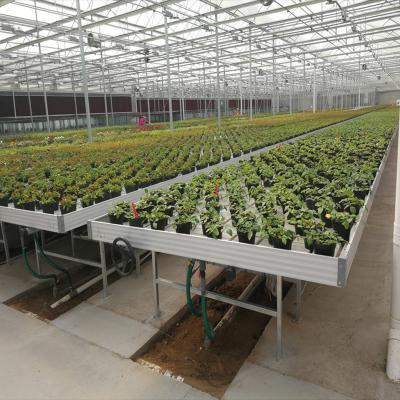 China Indoor Agricultural Hydroponic Screen Cheap Price Nursery Greenhouse Planting System Equipment Ebb and Flow Rolling Bench Tray for sale