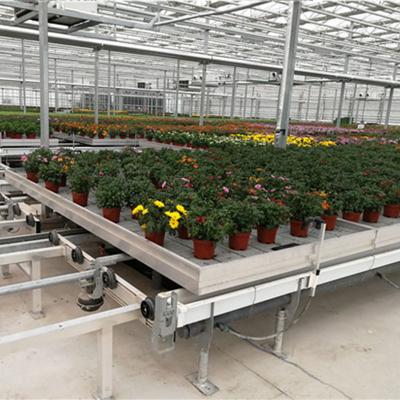 China Plastic Screen Greenhouse Ebb Flow Rolling Bench Ebb And Flow Bench /Tables And Plastic Tray Table for sale