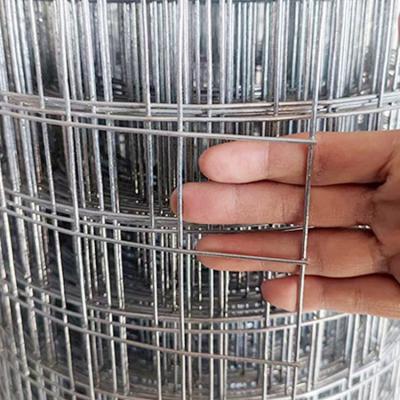 China Customizable High Quality Welded Wire Mesh Factory Price 2x2 Inch Mesh Galvanized Welded Wire Mesh For Fence for sale