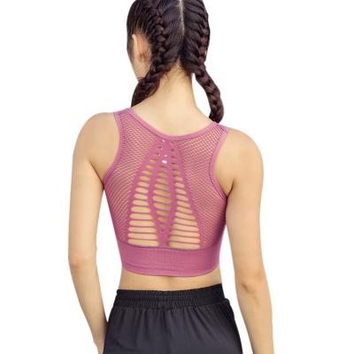 China Professional Women Yoga Bra Tank Top Sports Customized Breathable Seamless Padded Bra for sale